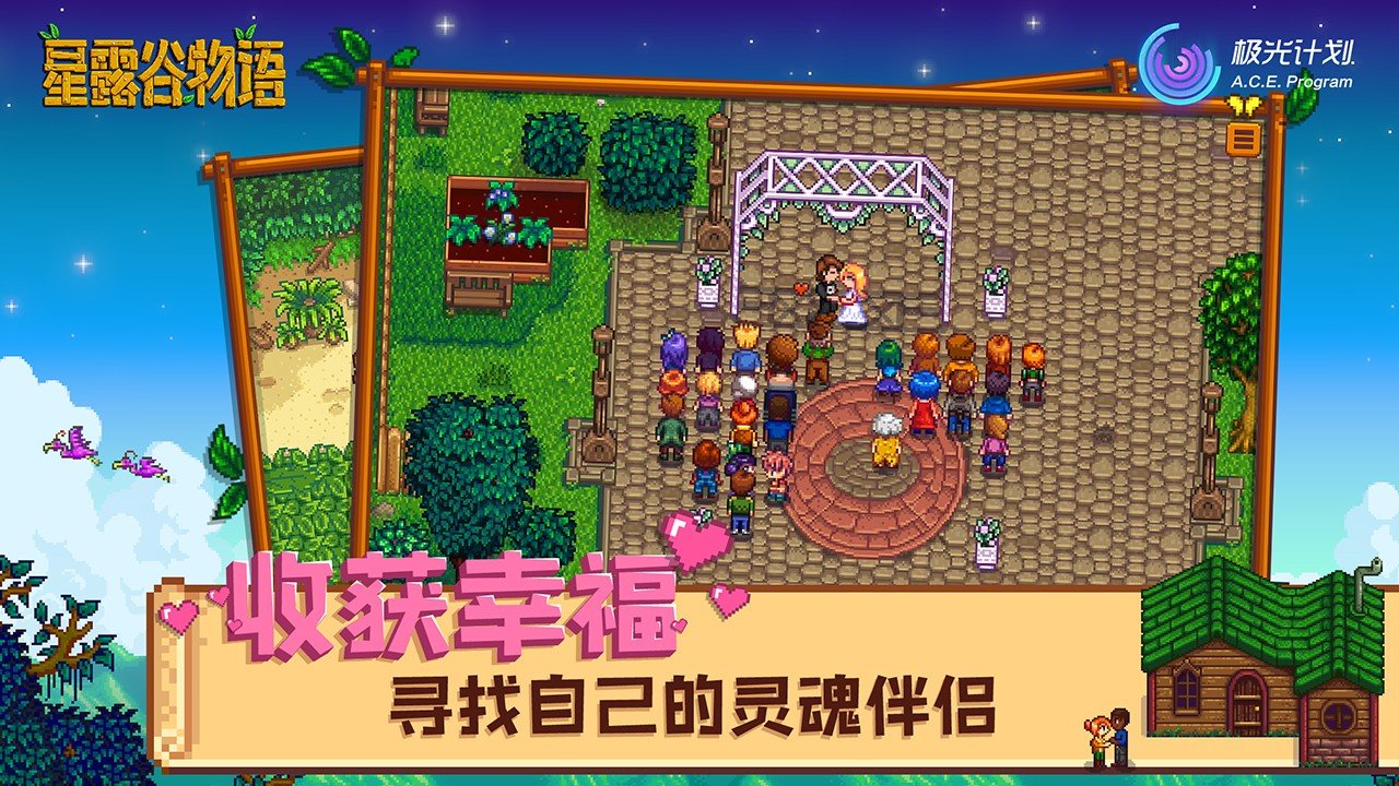 星露谷物语 年度版 截图1