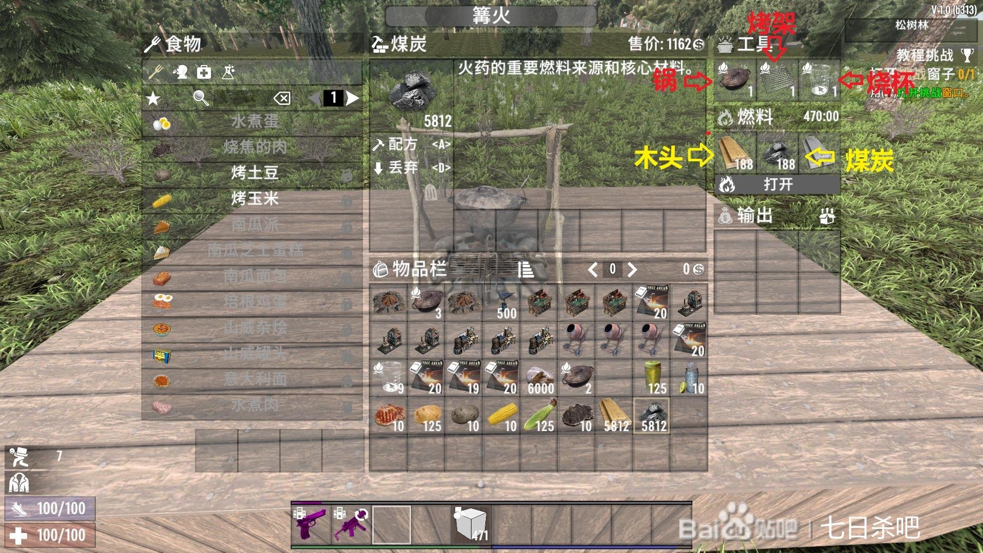 泰拉瑞亚 豪华版 截图17